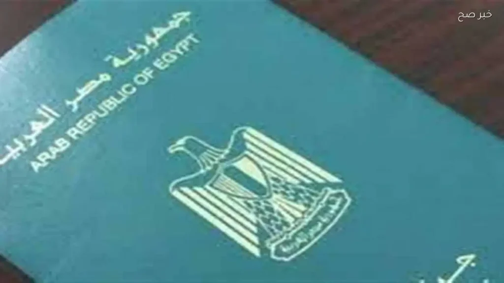 دول تقدم منحًا للمصريين للهجرة والعمل في 2026