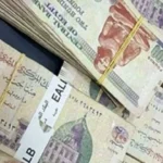 زيادة المعاشات في يوليو لن تتجاوز 15% وفقًا لمصدر حكومي