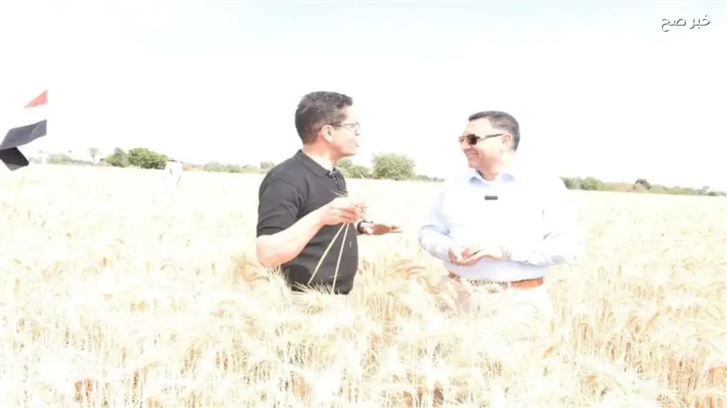 تحذيرات من الإجهاد الحراري في الزراعة مع بداية يونيو