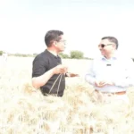 تحذيرات من الإجهاد الحراري في الزراعة مع بداية يونيو