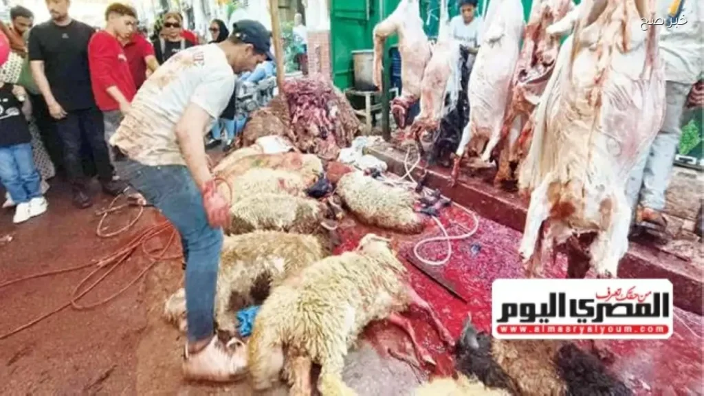 تراجع حاد في أسعار جلود الأضاحي إلى 50 جنيهًا