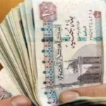 زيادة المرتبات الجديدة: 1000 جنيه شهريًا للعاملين بالدولة اعتبارًا من يوليو 2026