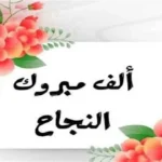 نتيجة الصف الأول الإعدادي 2026 في الجيزة: موعد الإعلان وطرق الاستعلام