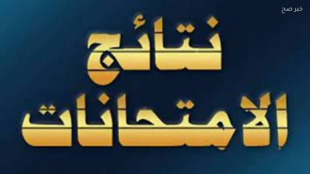 كيفية الاستعلام عن نتيجة سنوات النقل 2026 في الجيزة