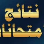 كيفية الاستعلام عن نتيجة سنوات النقل 2026 في الجيزة
