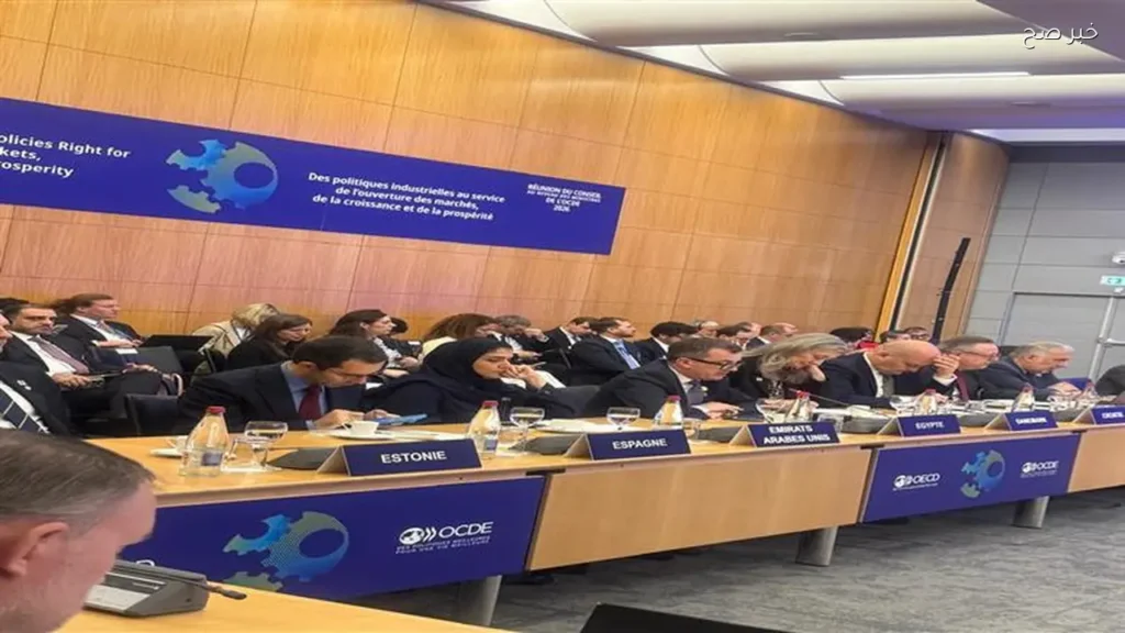 وزير التخطيط يؤكد أهمية السياسات الداعمة للنمو والابتكار لتحقيق التنمية الاقتصادية