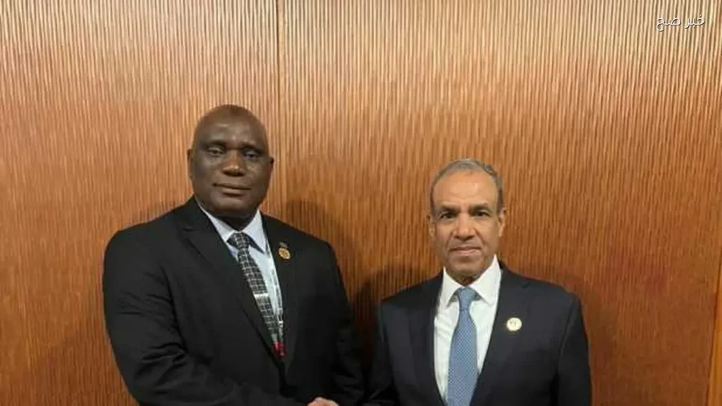 وزير الخارجية المصري يناقش تعزيز العلاقات مع نظيره الجامبي